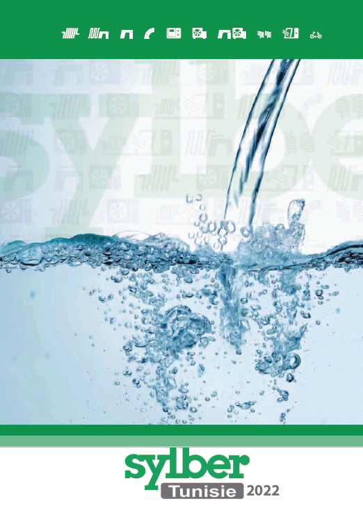 Chaudière Sylber et Accessoires  2024