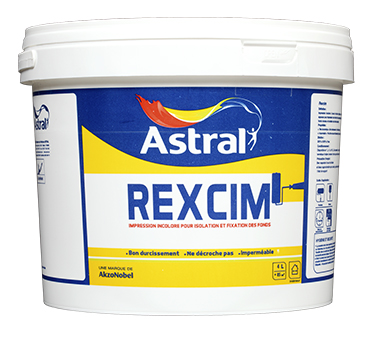 Enduit rexim 4kg astral